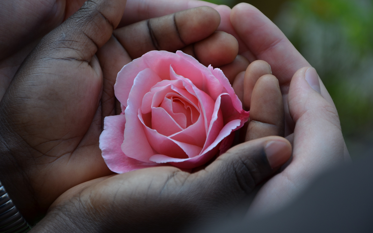 Kandidatur – ein erster Schritt