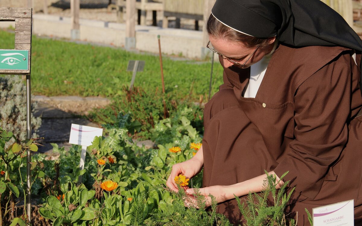 In der Suche nach Gott